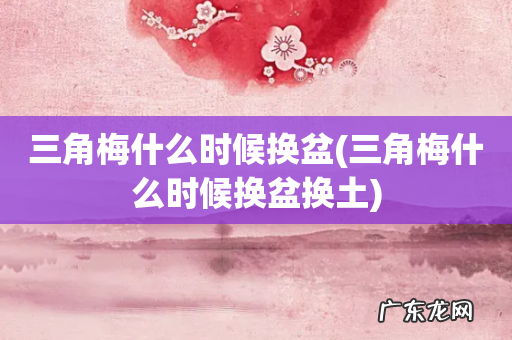 三角梅什么时候换盆换土 三角梅什么时候换盆