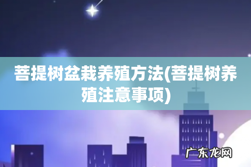 菩提树养殖注意事项 菩提树盆栽养殖方法