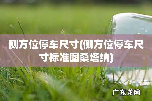 侧方位停车尺寸标准图桑塔纳 侧方位停车尺寸