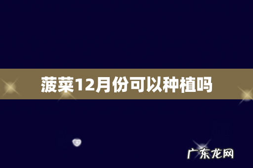菠菜12月份可以种植吗