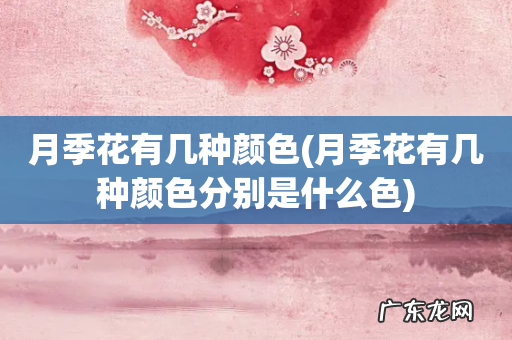 月季花有几种颜色分别是什么色 月季花有几种颜色