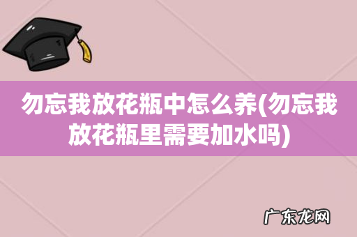 勿忘我放花瓶里需要加水吗 勿忘我放花瓶中怎么养