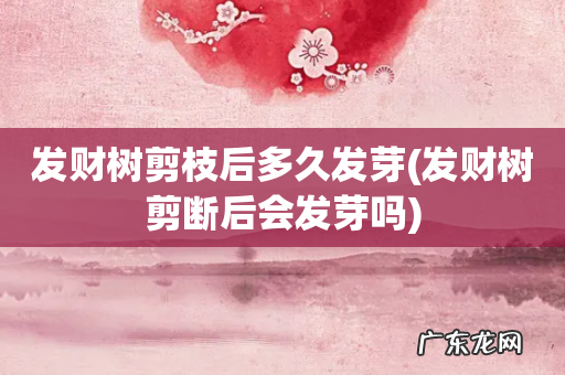 发财树剪断后会发芽吗 发财树剪枝后多久发芽