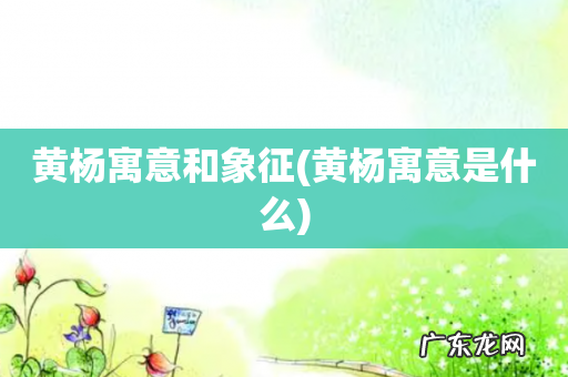 黄杨寓意是什么 黄杨寓意和象征