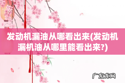 发动机漏机油从哪里能看出来? 发动机漏油从哪看出来