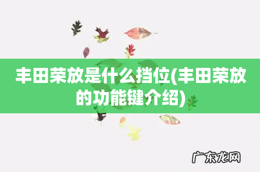 丰田荣放的功能键介绍 丰田荣放是什么挡位