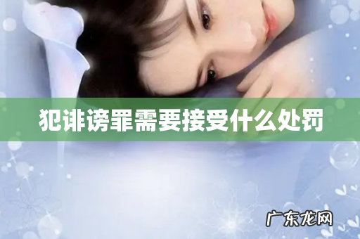 犯诽谤罪需要接受什么处罚