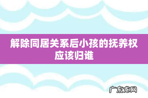 解除同居关系后小孩的抚养权应该归谁