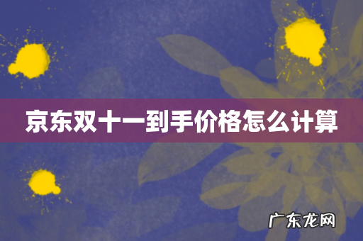 京东双十一到手价格怎么计算