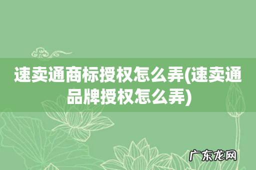 速卖通品牌授权怎么弄 速卖通商标授权怎么弄