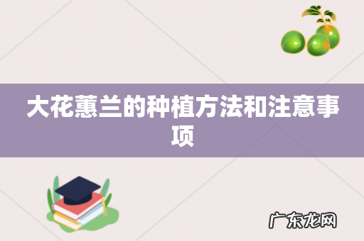 大花蕙兰的种植方法和注意事项