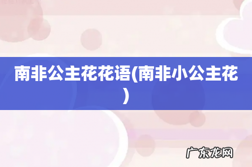 南非小公主花 南非公主花花语