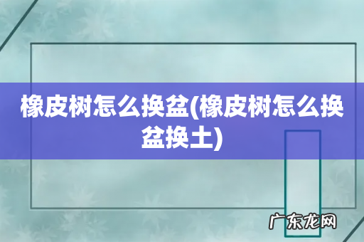 橡皮树怎么换盆换土 橡皮树怎么换盆