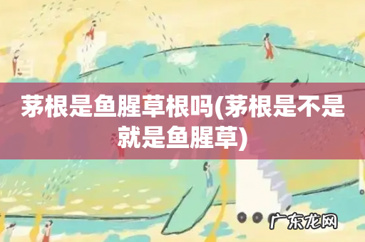 茅根是不是就是鱼腥草 茅根是鱼腥草根吗