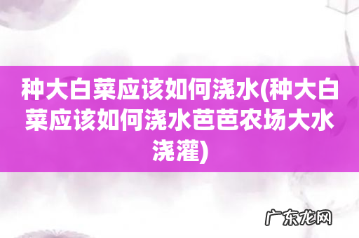 种大白菜应该如何浇水芭芭农场大水浇灌 种大白菜应该如何浇水