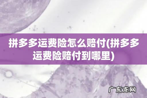 拼多多运费险赔付到哪里 拼多多运费险怎么赔付