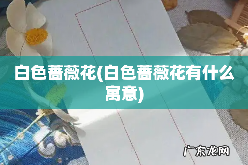 白色蔷薇花有什么寓意 白色蔷薇花