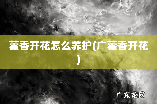 广藿香开花 藿香开花怎么养护