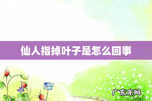 仙人指掉叶子是怎么回事