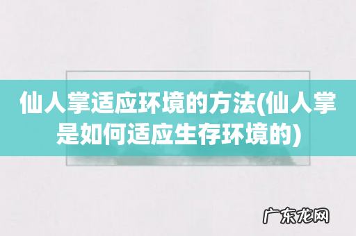仙人掌是如何适应生存环境的 仙人掌适应环境的方法