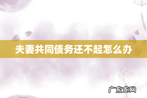 夫妻共同债务还不起怎么办