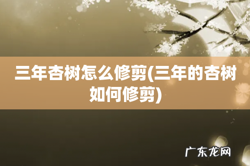 三年的杏树如何修剪 三年杏树怎么修剪