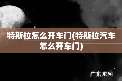 特斯拉汽车怎么开车门 特斯拉怎么开车门