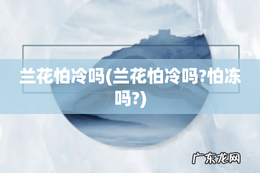 兰花怕冷吗?怕冻吗? 兰花怕冷吗