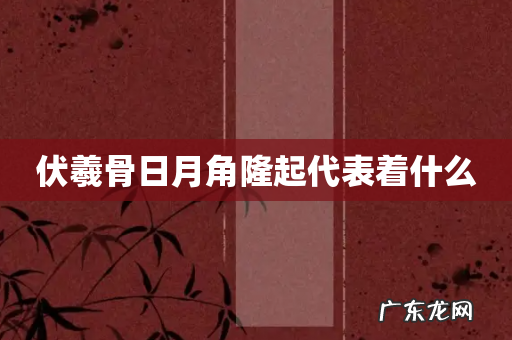 伏羲骨日月角隆起代表着什么