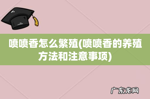 喷喷香的养殖方法和注意事项 喷喷香怎么繁殖