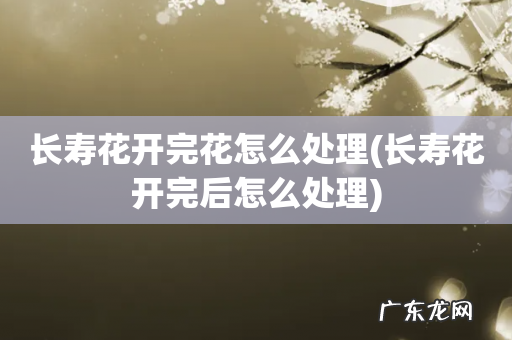 长寿花开完后怎么处理 长寿花开完花怎么处理