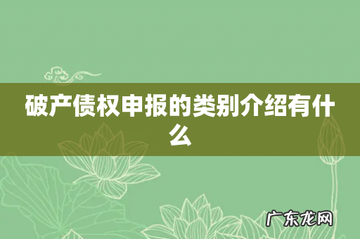 破产债权申报的类别介绍有什么