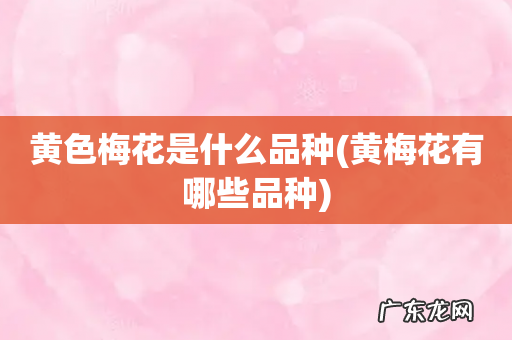 黄梅花有哪些品种 黄色梅花是什么品种