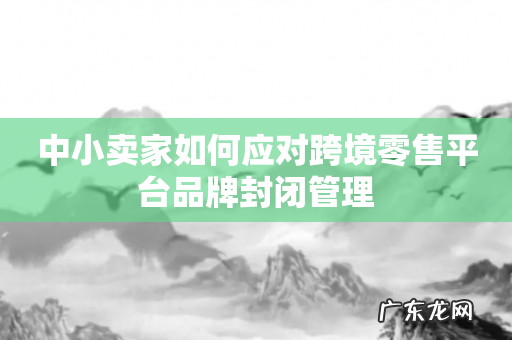中小卖家如何应对跨境零售平台品牌封闭管理