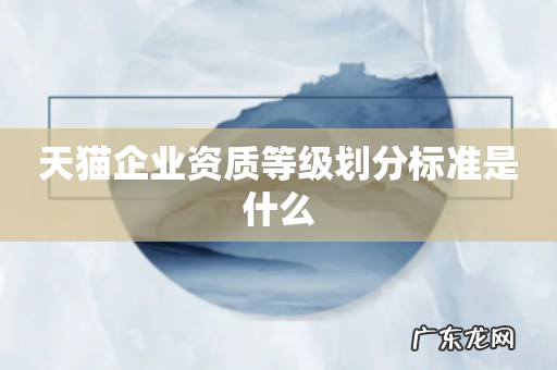 天猫企业资质等级划分标准是什么
