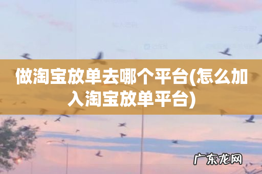 怎么加入淘宝放单平台 做淘宝放单去哪个平台