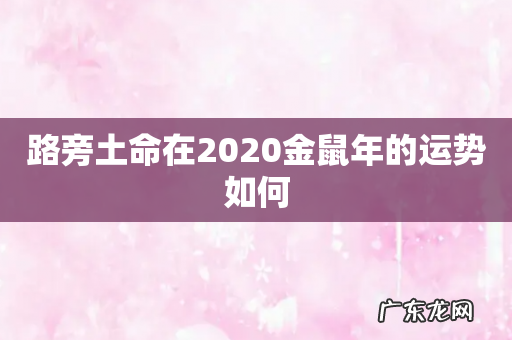 路旁土命在2020金鼠年的运势如何