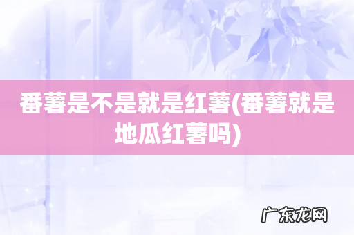 番薯就是地瓜红薯吗 番薯是不是就是红薯