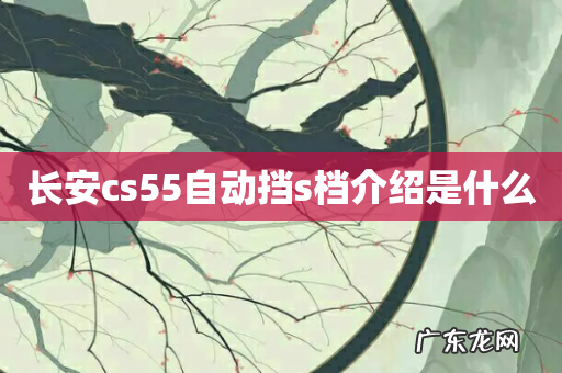长安cs55自动挡s档介绍是什么