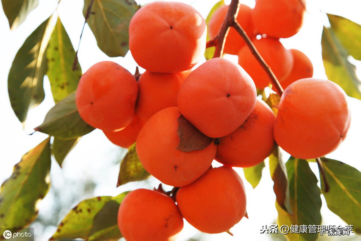 吃柿子有什么好处和坏处 吃柿子有什么好处吗
