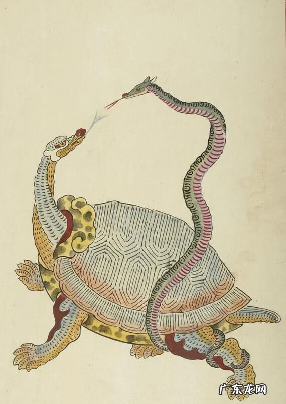 玄武藏头苍龙无足 玄武藏头的图片