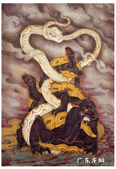 玄武藏头苍龙无足 玄武藏头的图片