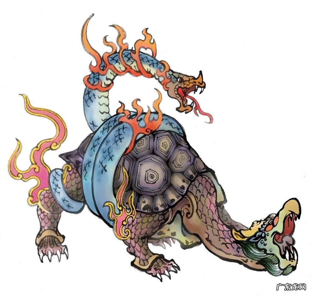 玄武藏头苍龙无足 玄武藏头的图片