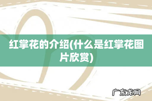 什么是红掌花图片欣赏 红掌花的介绍