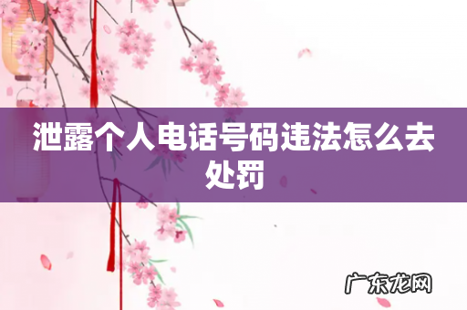 泄露个人电话号码违法怎么去处罚