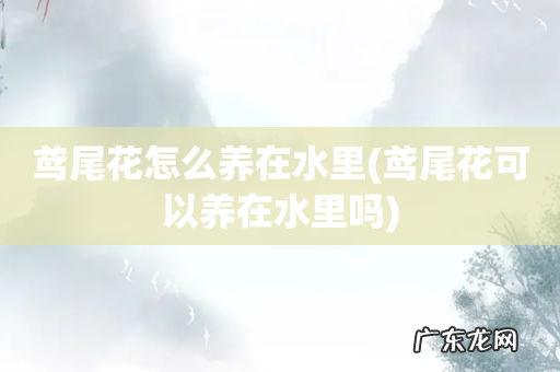 鸢尾花可以养在水里吗 鸢尾花怎么养在水里