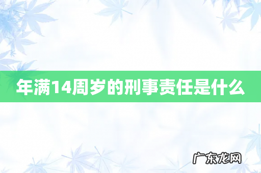年满14周岁的刑事责任是什么