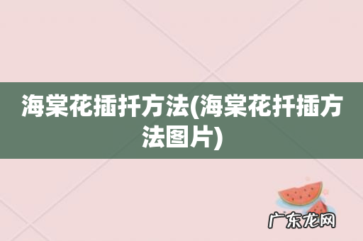 海棠花扦插方法图片 海棠花插扦方法