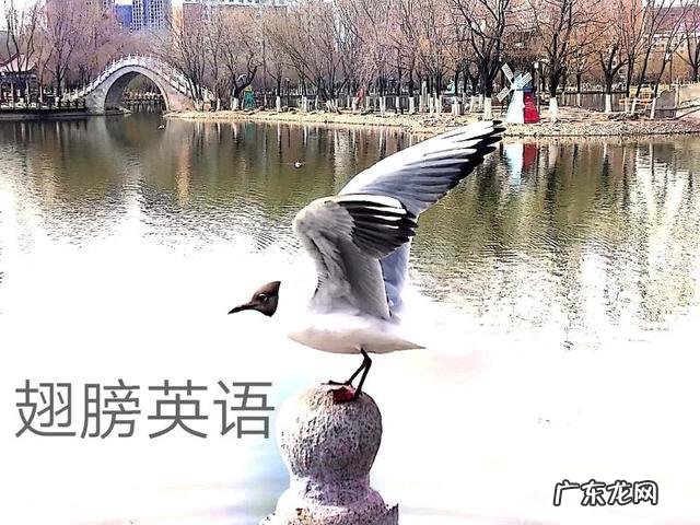 英语天气怎么说