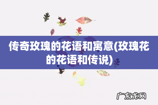 玫瑰花的花语和传说 传奇玫瑰的花语和寓意